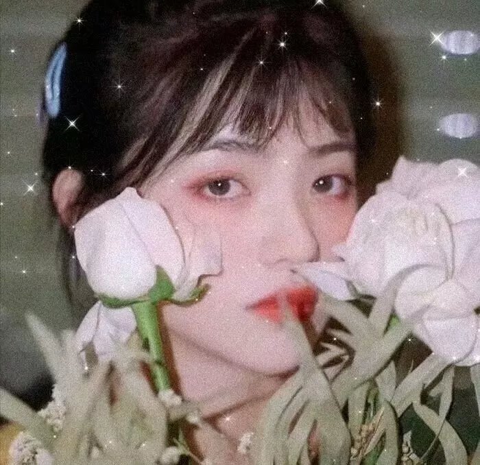 花牌情缘 下之句